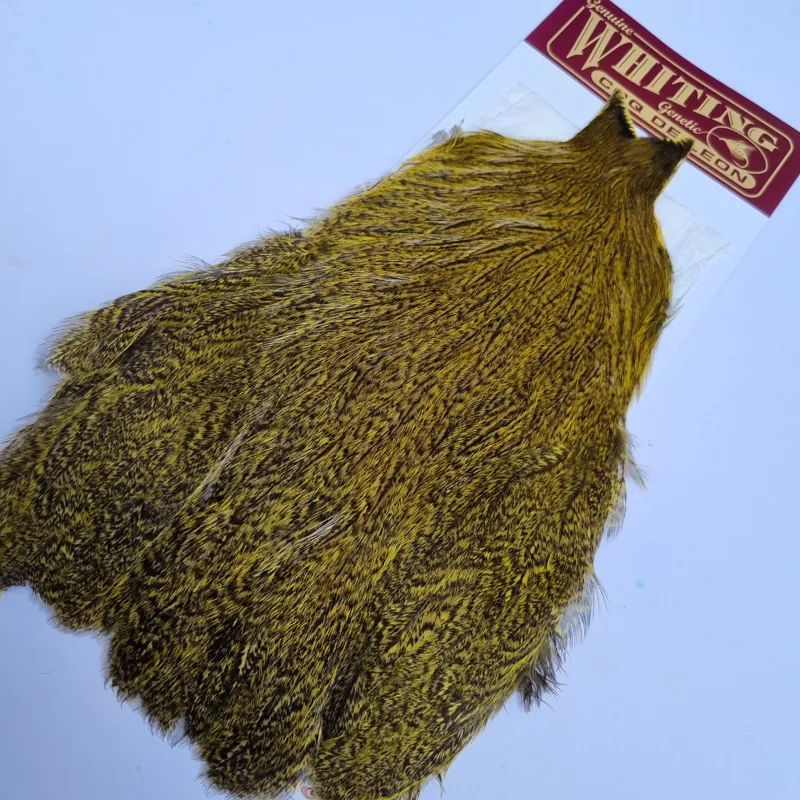 Whiting Coq de Leon Hen Cape in Speckled Yellow-6